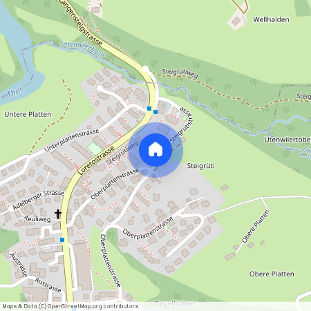 9620, Lichtensteig, Steigrütiweg, 6