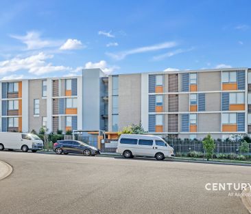 Sun-Filled Apartment in Central Location! - Photo 5