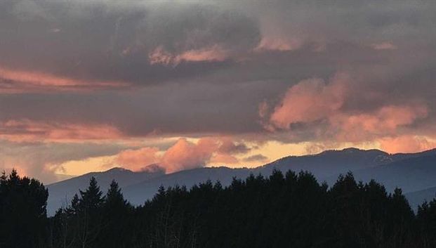 Fabulous One Bedroom with Beautiful View in Convenient North Delta - Photo 1