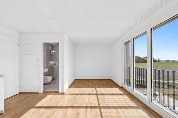 1 Zimmer, 25 m², 3. Stock - Foto 1