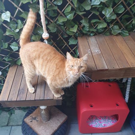 Upper Coomera - Photo 2