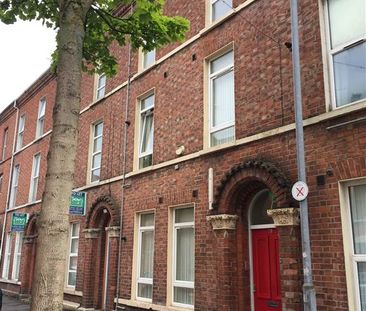 78 Fitzroy Avenue Flat 3, Belfast, BT7 1HX - Photo 3