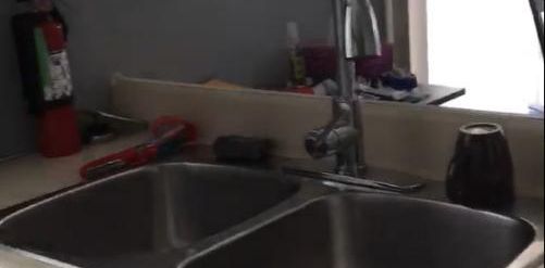 Logement 3 1/2 - Photo 2