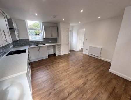 1 Bedroom Detached To Let - Photo 4