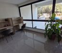 Providencia Monraz Departamentos Nuevos 2 Recamaras en Renta - Photo 4