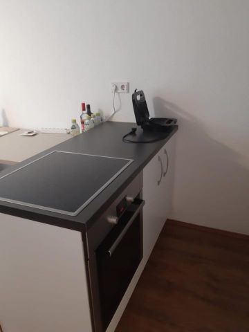 1-Zimmer Wohnung im schönen Rheingau. - Photo 3