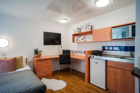 Platinum Plus Studio - Photo 3