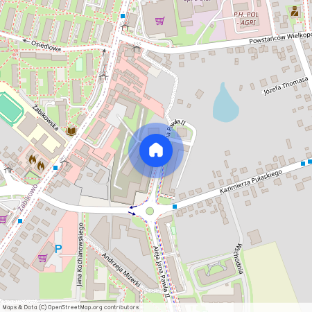 al. Aleja Jana Pawła II, Luboń, poznański, wielkopolskie