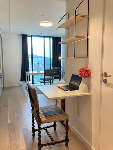 Lodjursstråket, Göteborg - Photo 3