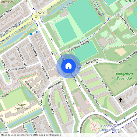 Bohemen en Meer en Bos, 2566 AT, De Savornin Lohmanlaan, Den Haag