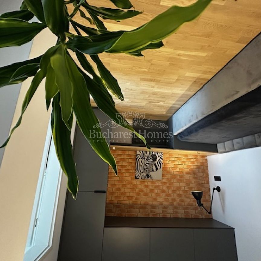 Contemporary Two Bedrooms with Terrace, Icoanei - Fotografie 1
