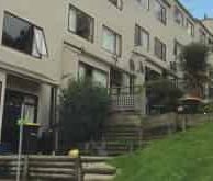 Spacious Sunny 6BR Dunedin Delight - Photo 3