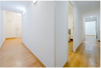 Calle de Pilar de Zaragoza, Madrid, Community of Madrid 28028