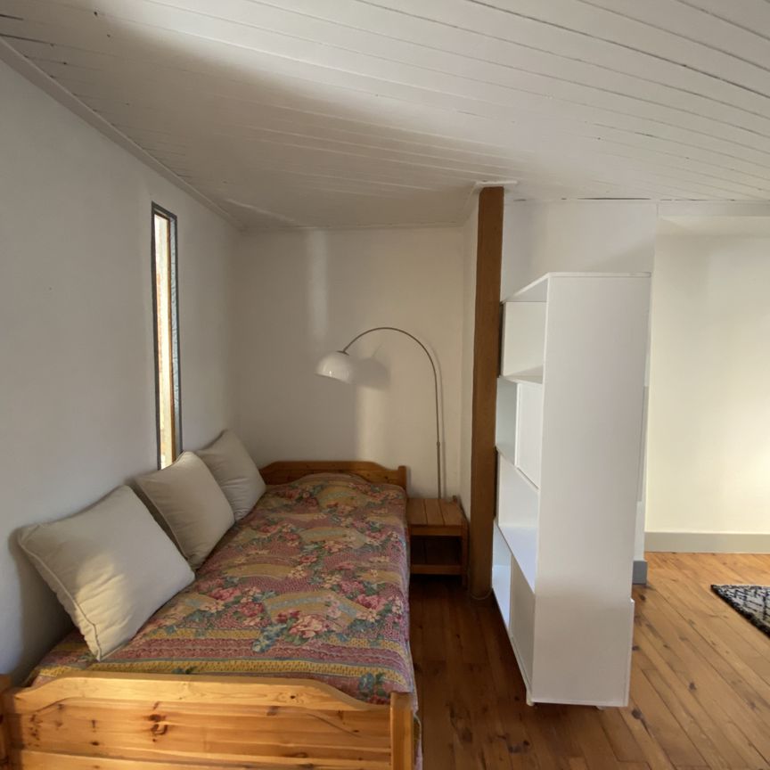 Location Appartement 1 pièce 36m² GRENOBLE 38000 - Photo 1