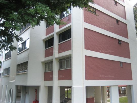 Blk 605 Eunos Rainbow (Bedok), HDB 5 Rooms - For Rent - Photo 1