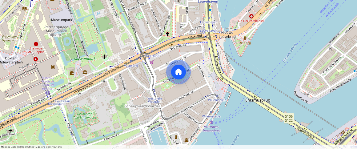 Gedempte Zalmhaven, Rotterdam