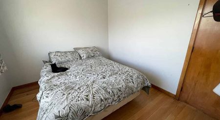 Two bedroom plus sleepout opposite golf course - Photo 3