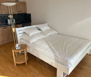 Pronájem bytu 1+kk • 37 m² bez realitkyOlšanská, Praha - Žižkov - Photo 5