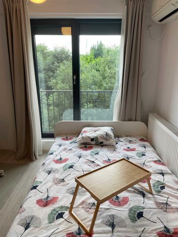 Aparatorii patriei tomesti maison 10 - Photo 3