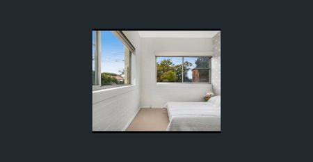 Sunkissed spacious apartment off Kurraba reserve - Photo 3