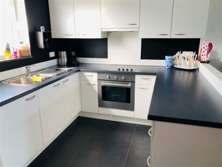 Duplex te huur in Bassevelde - Photo 4