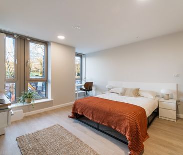 Accessible Studio - Photo 4