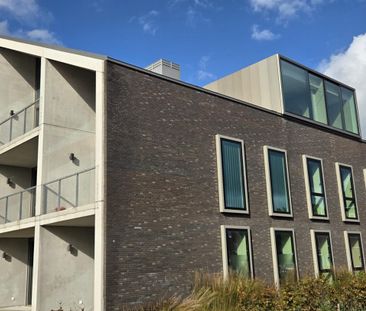 Limousinstraat 23 - Photo 3