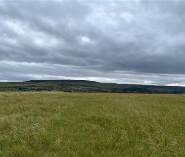 Farm land to rent - Photo 4