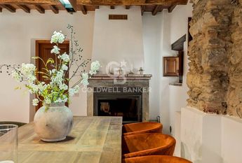 viale apua, Pietrasanta, Tuscany 55045