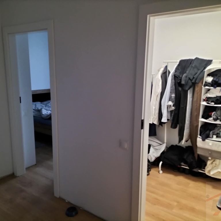 Polecamy na wynajem piękny i duży apartament (430308) - Photo 1