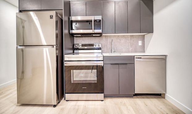Basement Unit in Altadore - Photo 1