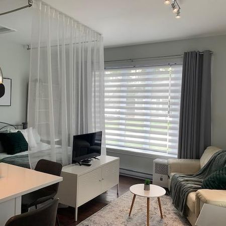 Loft meublé 100% tout inclus avec entretien/sem. - Photo 3