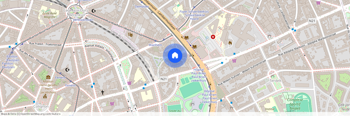 Rue Jacques Rayé, 20, 1030, Schaerbeek