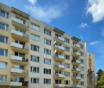 Pronájem bytu 1+1 v osobním vlastnictví 40 m², České Budějovice - Photo 2