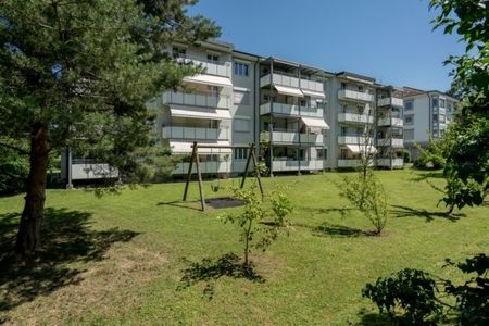 Cozy apartment in Muttenz - Photo 4