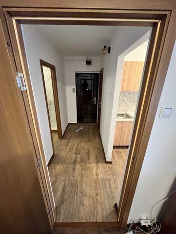 Decebal etaj 2 negoiu - Fotografie 5