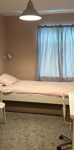 Fyrisvallsgatan, Uppsala - Foto 1