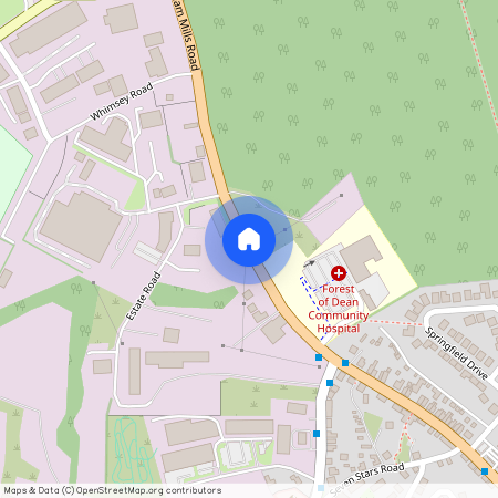 Steam Mills, Cinderford