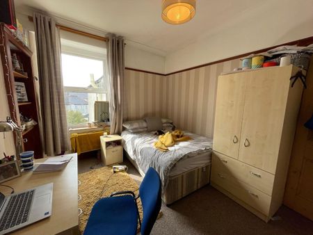 Seymour Avenue, Plymouth - Photo 4