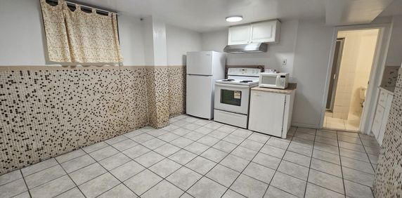 For Lease - 1393 Birchmount Road Unit# BSMNT, Toronto, Ontario - Photo 2