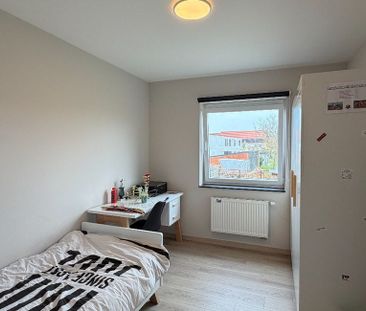 Woning te huur in Oostrozebeke voor € 970 met 3 slaapkamers - Photo 3