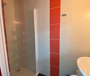 Location Appartement 1 pièce Meublé 19m² CHATEAUBRIANT 44110 - Photo 5