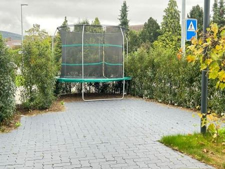 5.5 Zimmer, 235 m², 1. Stock - Foto 5