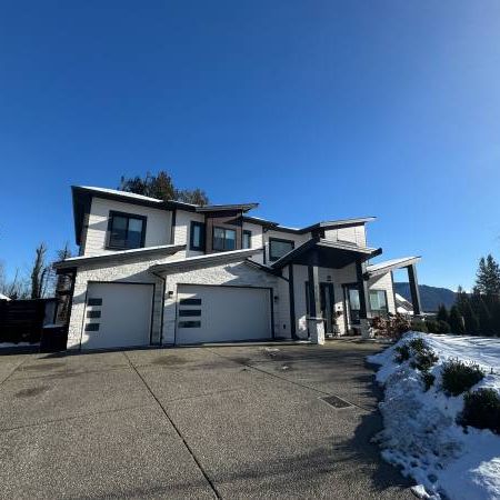 NEW GARDEN LEVEL SUITE WITH SINGLE CAR GARGAE&PRIVATE YARD - Photo 3