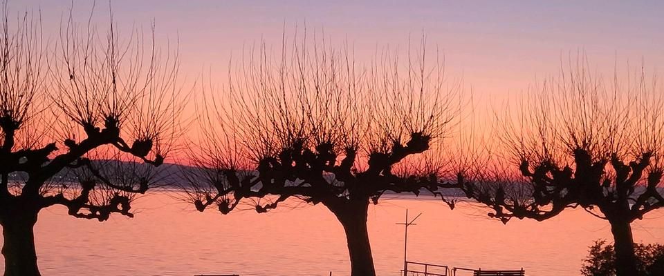 Zwischenmiete Seeblick bis Mitte Juni - Photo 1