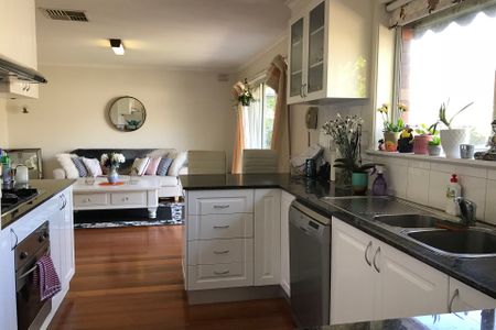 Perfectly Situated! - Photo 4