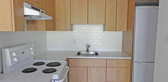 Newly Renovated 1 Bedroom at Pineview Place - Photo 2