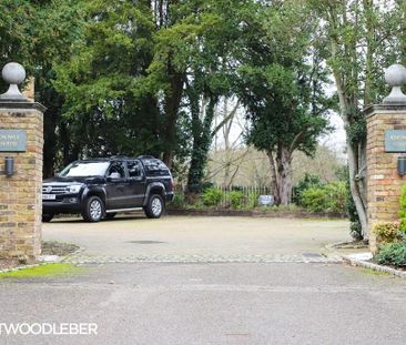 1 bedroom ground floor flat to rent - Photo 4