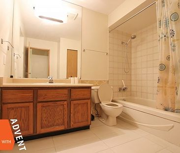 Riley Park Unfurnished 2 Bed 1 Bath Garden Suite For Rent at 4845B Elgin St Vancouver - Photo 4