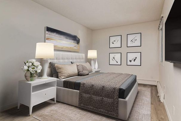Renovated Suite - 1 Bedroom - Photo 1